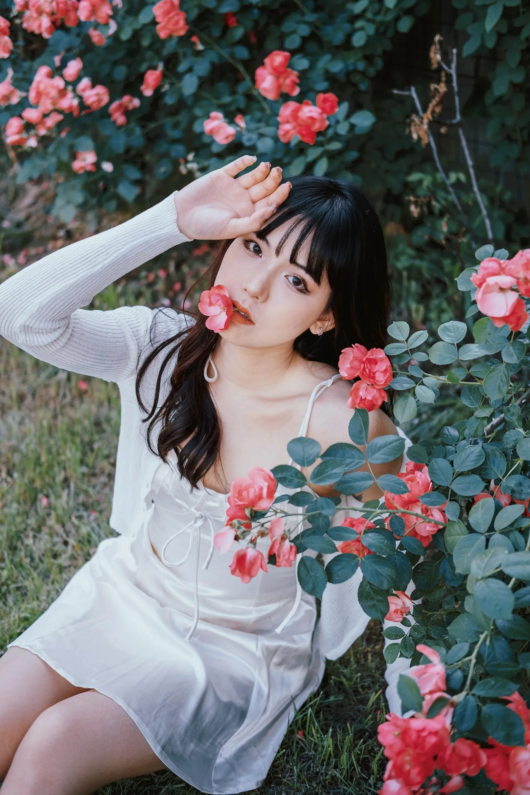 [艺图语] 2022.06.10 蔷薇花下 依依 [25P]插图4